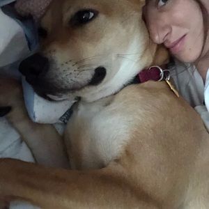 Meet your Posher, Karissa